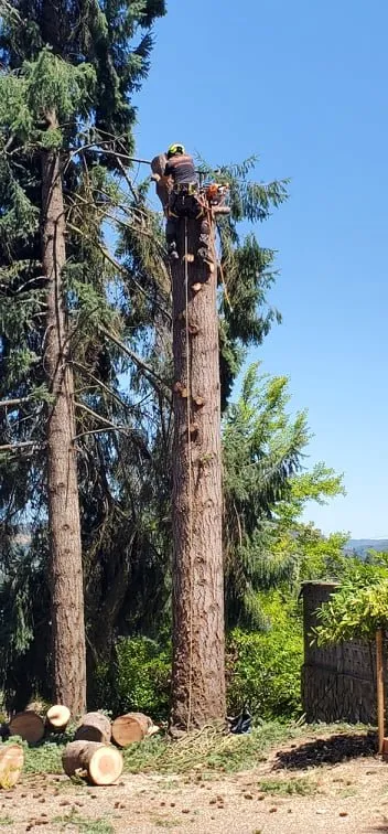 Custom lawn mowing service in Roseburg, OR by Advanced Tree Service & Landscaping