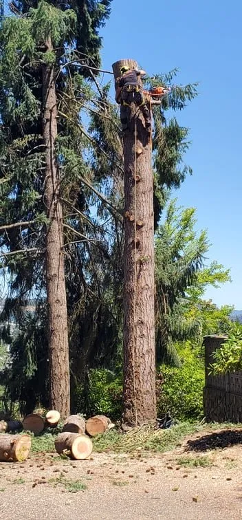 Expert garden landscaping for homes in Roseburg, OR by Advanced Tree Service & Landscaping