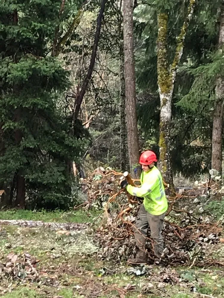 Affordable lawn care service for beautiful yards in Roseburg, OR by Advanced Tree Service & Landscaping