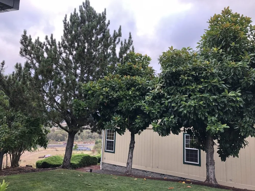 Top-rated garden landscaping for homes in Roseburg, OR by Advanced Tree Service & Landscaping