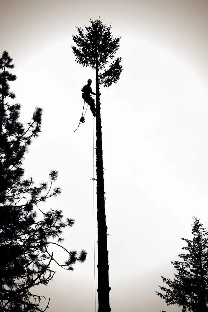 Professional landscape design in Roseburg, OR by Advanced Tree Service & Landscaping