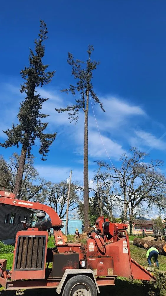 Expert landscape installation in Roseburg, OR - Advanced Tree Service & Landscaping