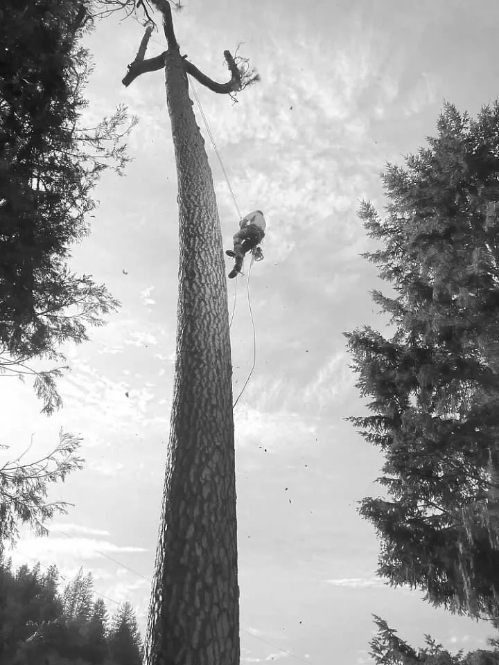 Top-rated garden landscaping in Roseburg, OR by Advanced Tree Service & Landscaping