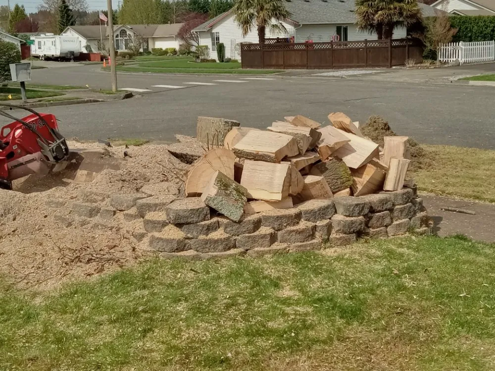 Custom yard cleanup service in Morton, WA - Advanced tree service and Landscaping