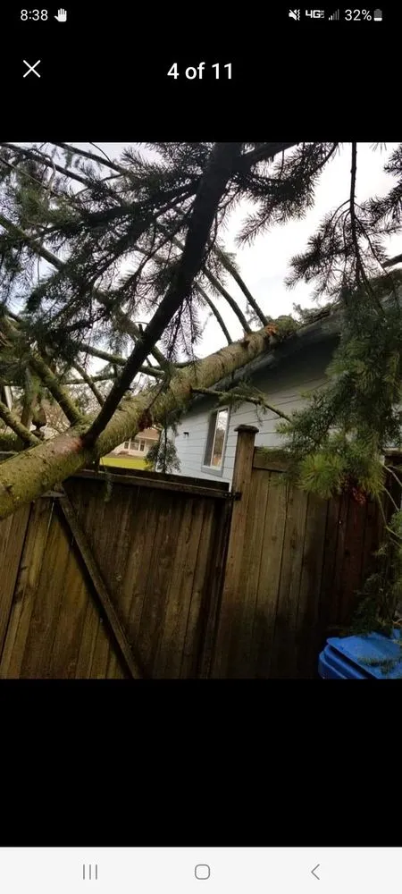 Trusted landscape design experts serving Morton, WA - Advanced tree service and Landscaping