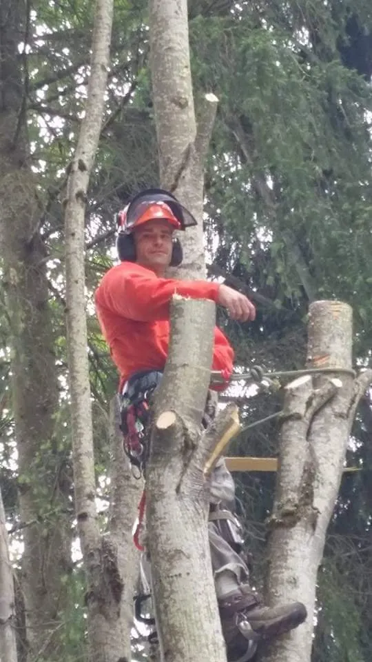 Professional outdoor landscaping for homes in Morton, WA by Advanced tree service and Landscaping