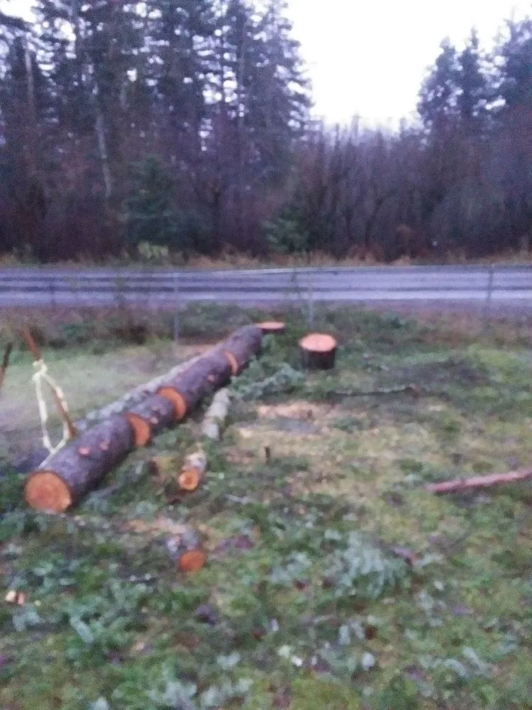 Affordable yard cleanup service for homes in Morton, WA by Advanced tree service and Landscaping