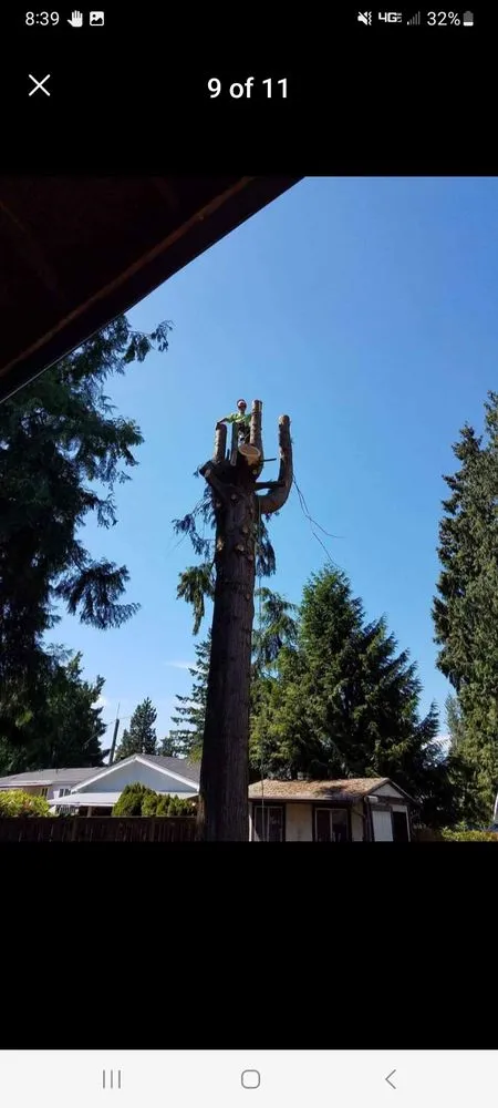 Expert residential landscaping in Morton, WA - Advanced tree service and Landscaping