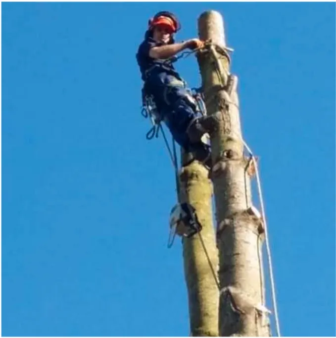 Trusted yard maintenance for beautiful yards in Puyallup, WA by Advanced Tree Service and Landscaping