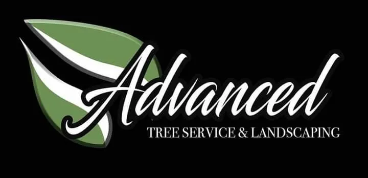 Reliable yard cleanup service in Puyallup, WA - Advanced Tree Service and Landscaping