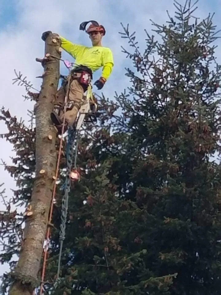 Reliable lawn mowing service in Puyallup, WA by Advanced Tree Service and Landscaping