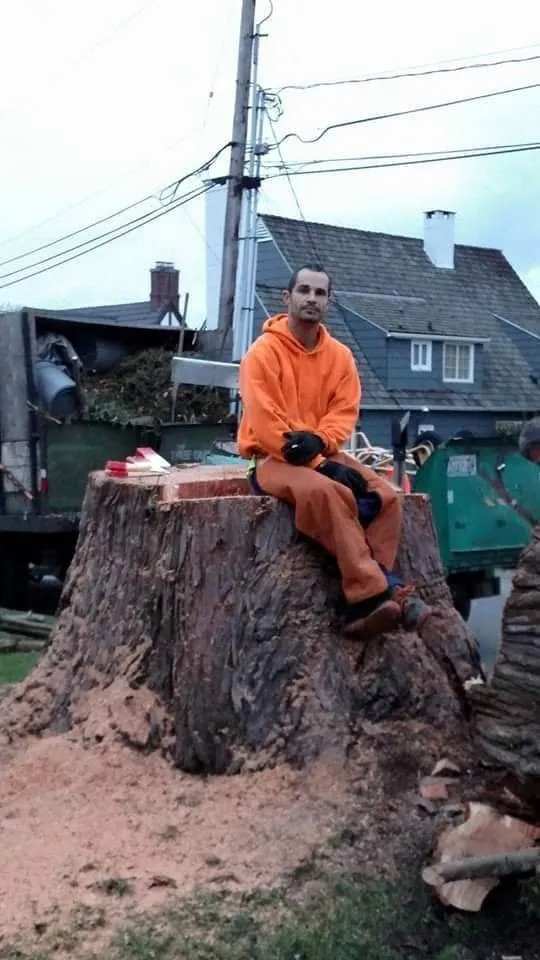 Expert yard cleanup service experts serving Puyallup, WA - Advanced Tree Service and Landscaping