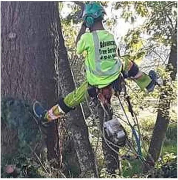 Professional yard maintenance in Puyallup, WA - Advanced Tree Service and Landscaping