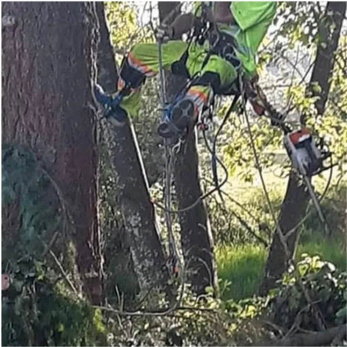 Affordable lawn mowing service near you in Puyallup, WA by Advanced Tree Service and Landscaping