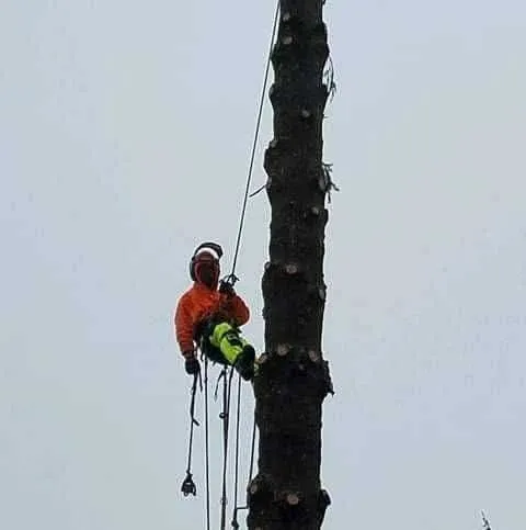 Trusted landscape design experts serving Winlock, WA - Advanced Tree Service and Landscaping