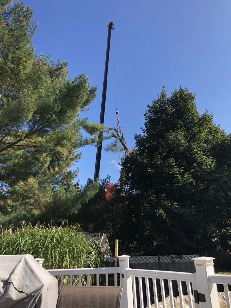 Custom outdoor landscaping experts serving Derry, NH - Advanced Tree Service