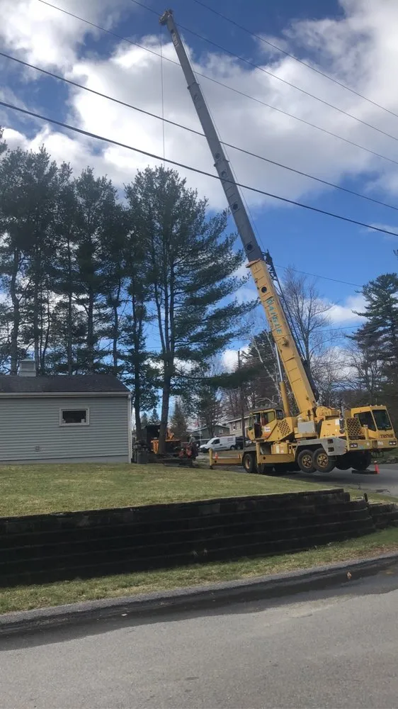 Top-rated yard cleanup service in Derry, NH - Advanced Tree Service