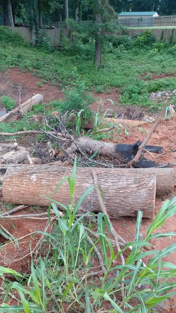 Affordable yard cleanup service experts serving Hermitage, TN - Advanced Tree Service