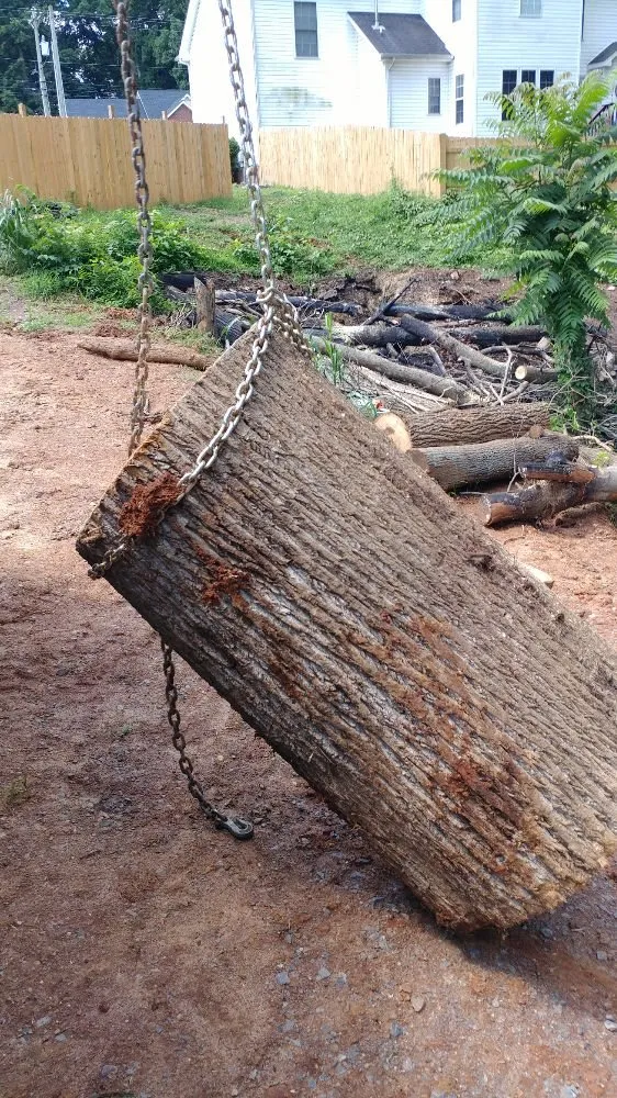 Reliable yard maintenance experts serving Hermitage, TN - Advanced Tree Service