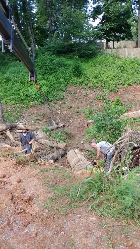 Expert garden landscaping for outdoor upgrades across Hermitage, TN - Advanced Tree Service