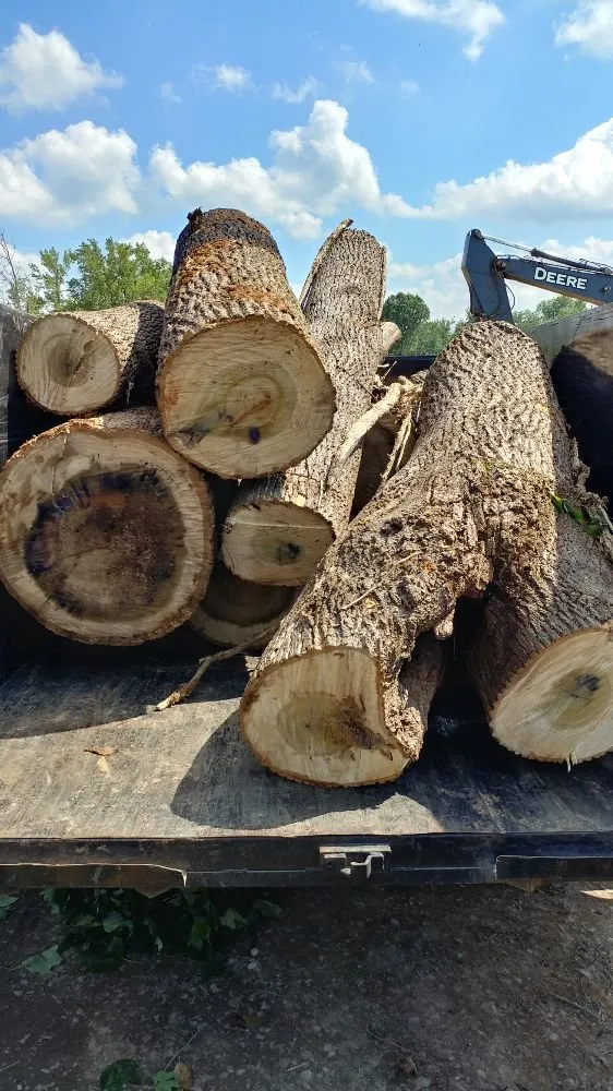 Local yard cleanup service in Hermitage, TN - Advanced Tree Service