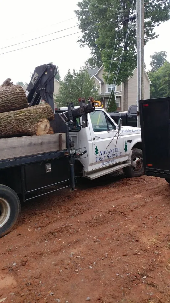Top-rated garden landscaping for homes across Hermitage, TN - Advanced Tree Service