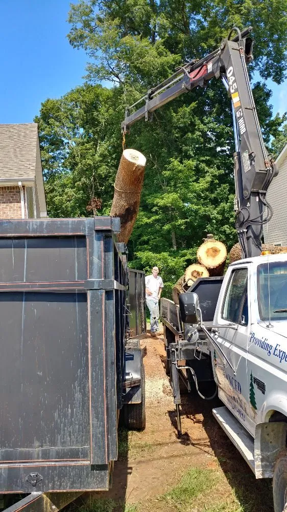 Custom landscape design in Hermitage, TN by Advanced Tree Service