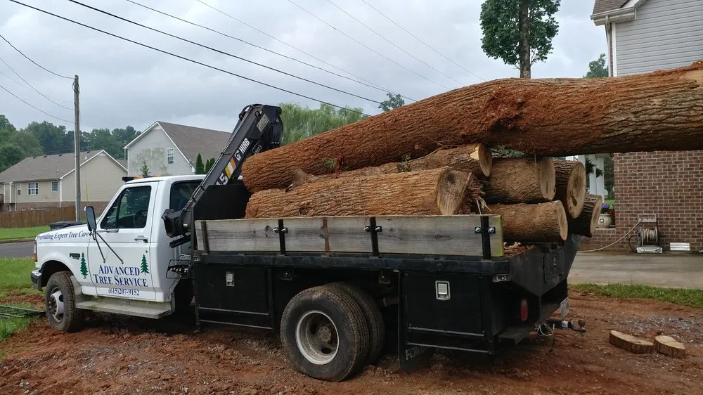 Expert lawn care service for homes in Hermitage, TN by Advanced Tree Service