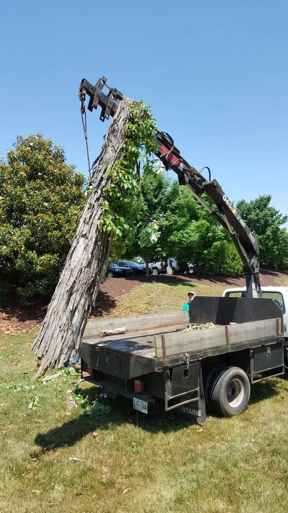 Affordable garden landscaping near you in Hermitage, TN by Advanced Tree Service