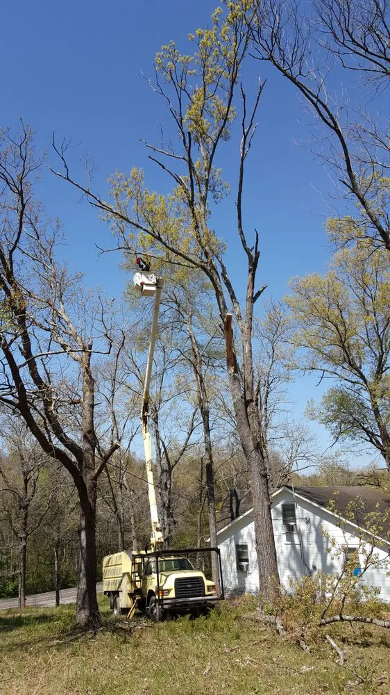 Expert landscape design experts serving Hermitage, TN - Advanced Tree Service