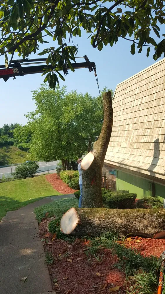 Expert garden landscaping in Hermitage, TN by Advanced Tree Service