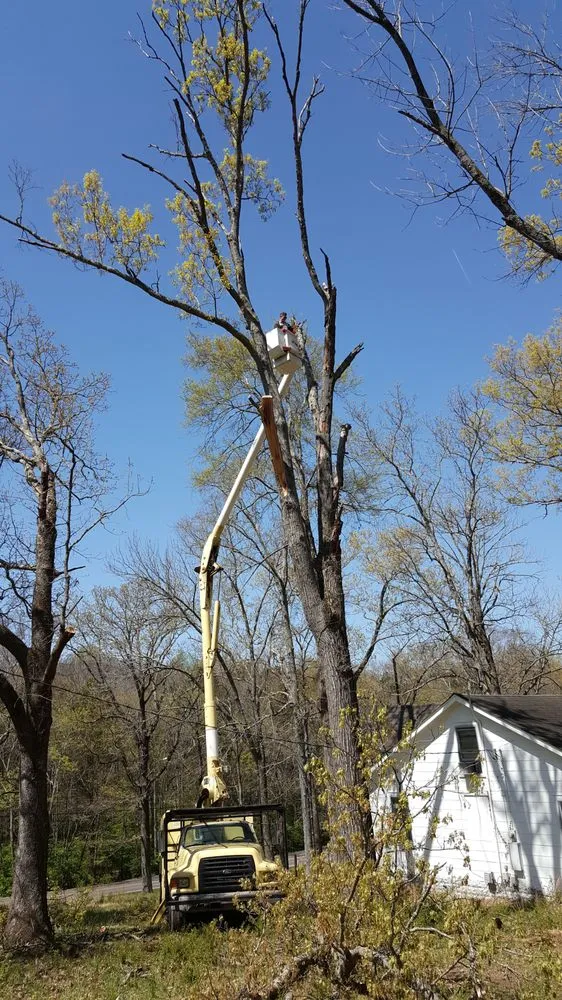 Professional yard maintenance for beautiful yards in Hermitage, TN by Advanced Tree Service