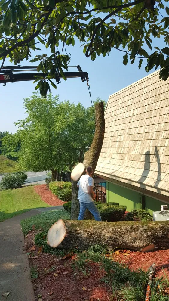 Expert landscape installation for homes across Hermitage, TN - Advanced Tree Service