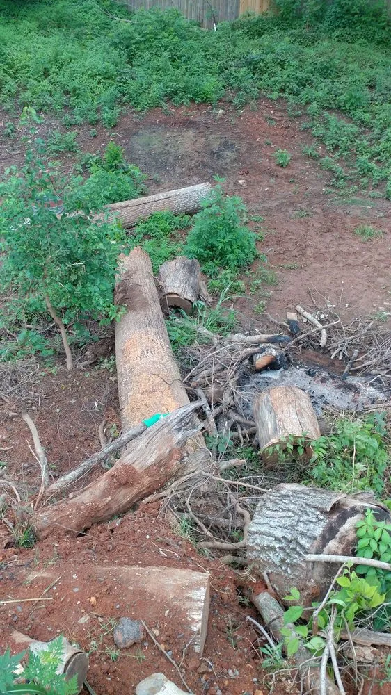 Trusted landscaping services in Hermitage, TN - Advanced Tree Service