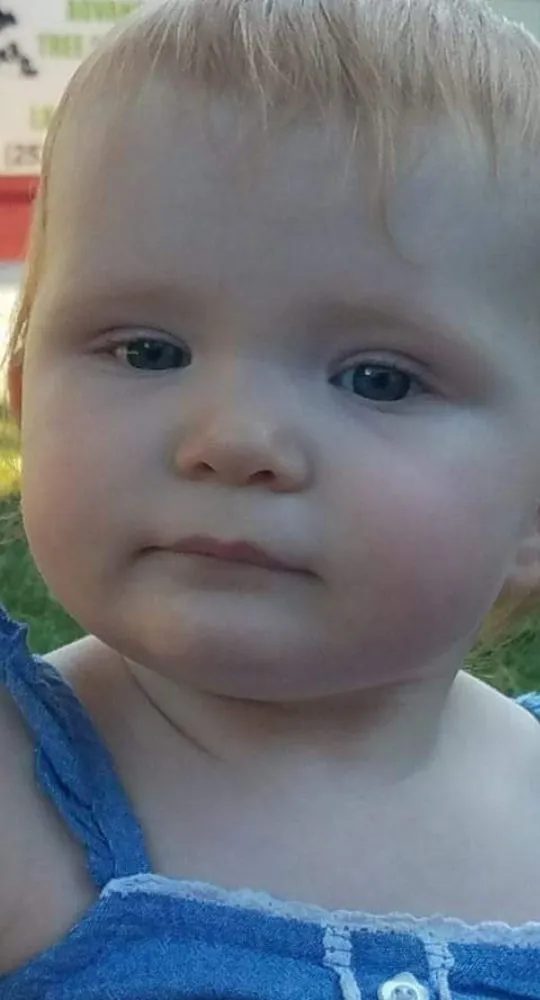 Reliable landscape design in Winlock, WA by Advanced Tree Service