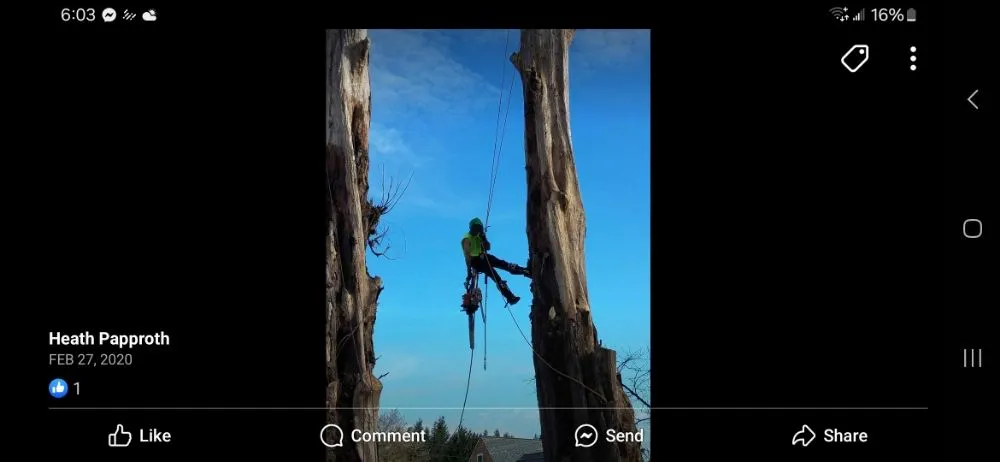 Top-rated garden landscaping experts serving Winlock, WA - Advanced Tree Service