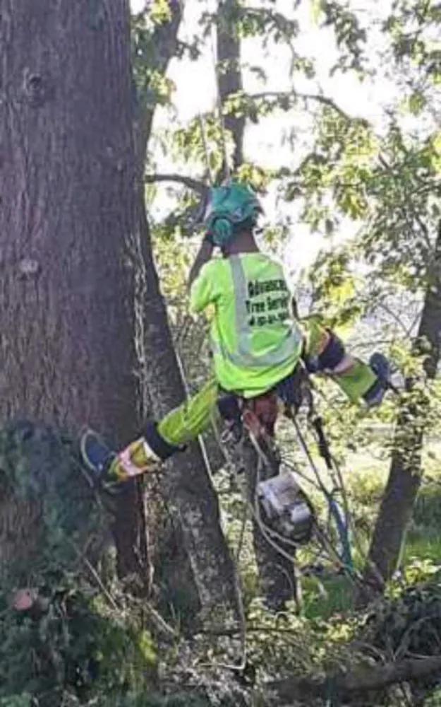 Expert garden landscaping in Winlock, WA - Advanced Tree Service