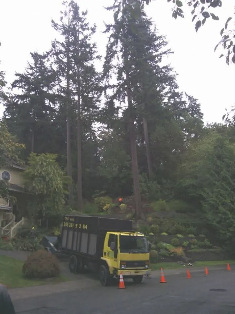 Affordable yard maintenance for beautiful yards in Winlock, WA by Advanced Tree Service