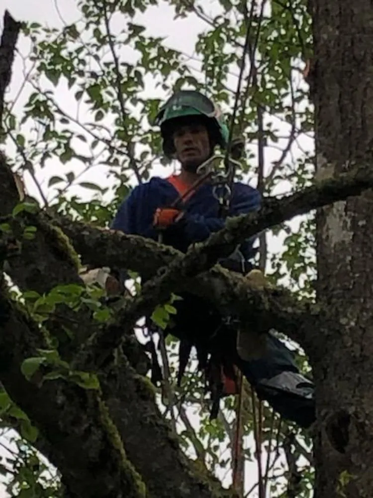 Reliable garden landscaping in Winlock, WA by Advanced Tree Service