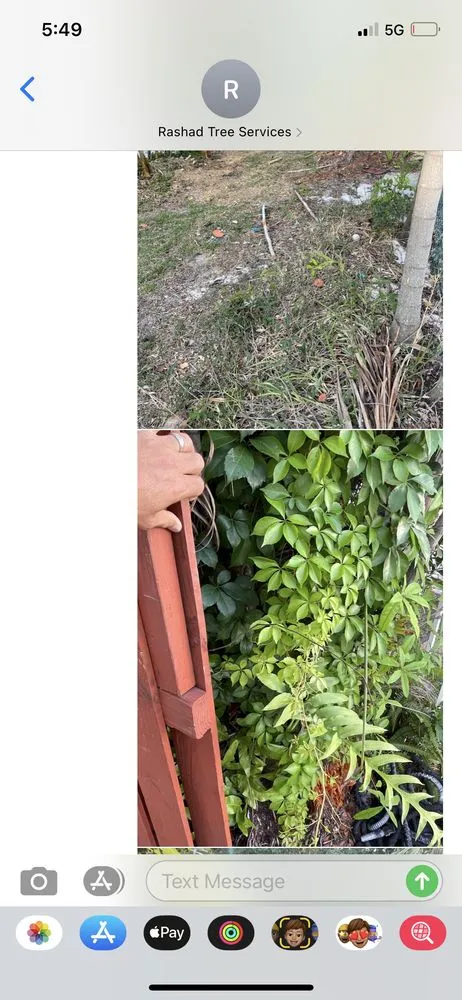 Professional landscape installation experts serving Davie, FL - Advanced Tree Services & Property Maintenance