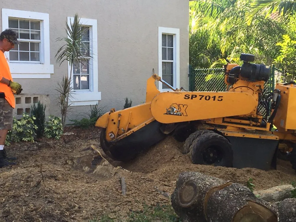 Reliable lawn mowing service with custom design across Davie, FL - Advanced Tree Services & Property Maintenance