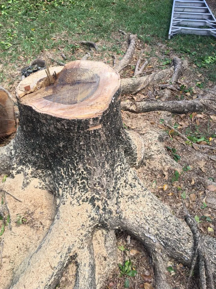 Local residential landscaping with custom design in Davie, FL by Advanced Tree Services & Property Maintenance