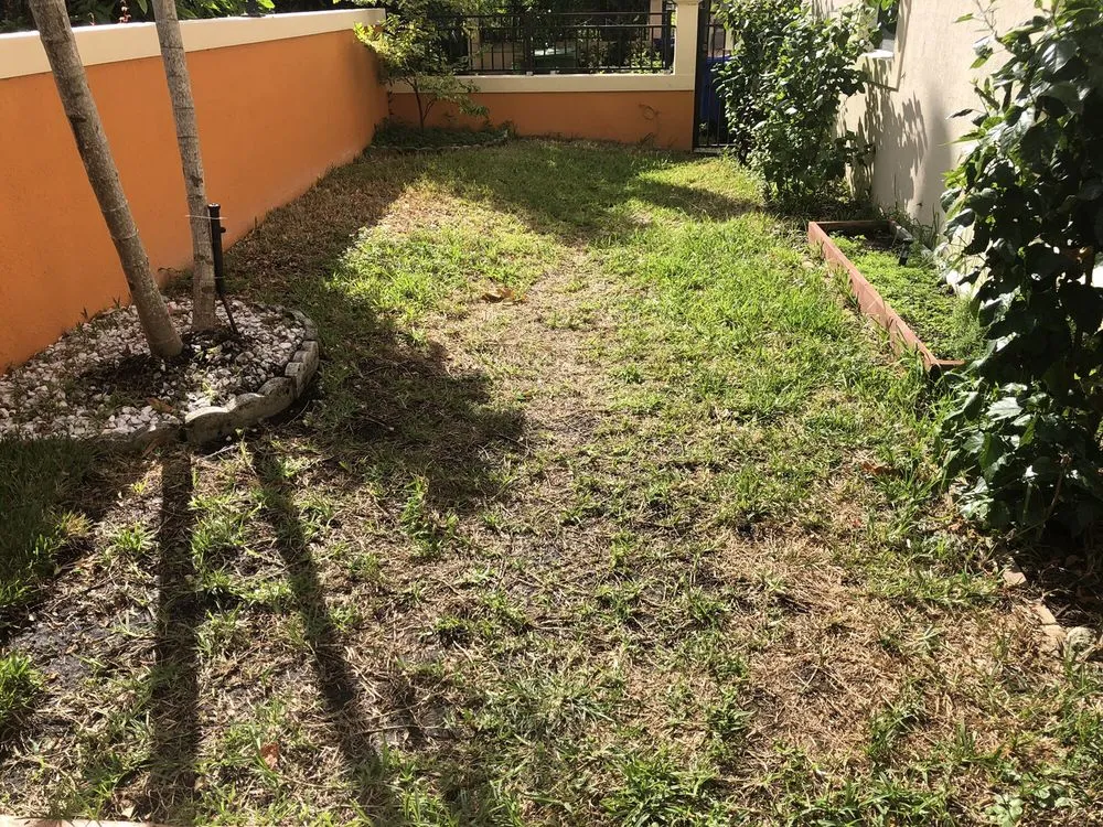 Professional outdoor landscaping for beautiful yards across Davie, FL - Advanced Tree Services & Property Maintenance