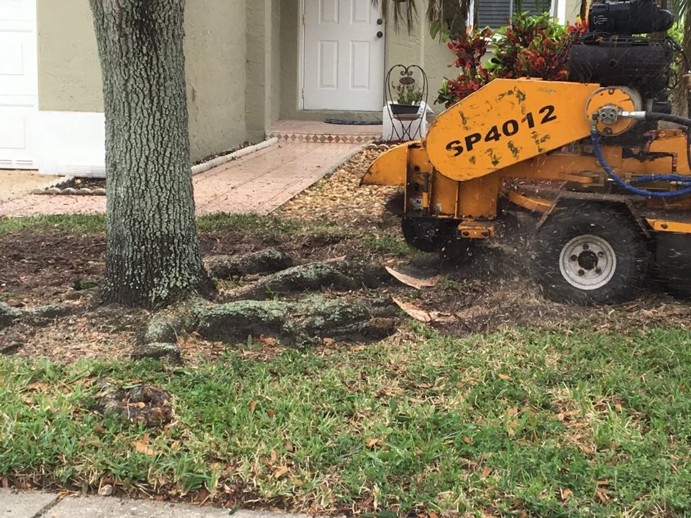 Local yard cleanup service experts serving Davie, FL - Advanced Tree Services & Property Maintenance