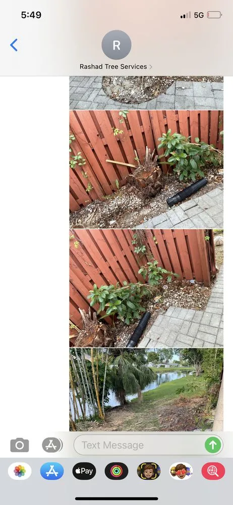 Custom yard maintenance in Davie, FL - Advanced Tree Services & Property Maintenance