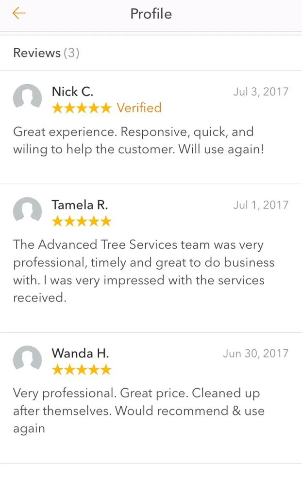 Custom lawn care service with custom design across Davie, FL - Advanced Tree Services & Property Maintenance