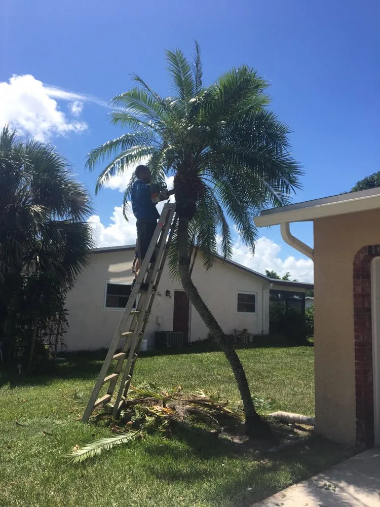 Top-rated landscaping services for year-round maintenance in Davie, FL by Advanced Tree Services & Property Maintenance