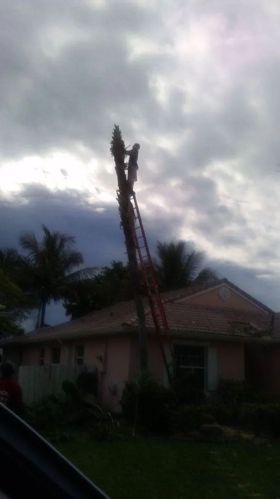 Reliable landscaping services experts serving Davie, FL - Advanced Tree Services & Property Maintenance