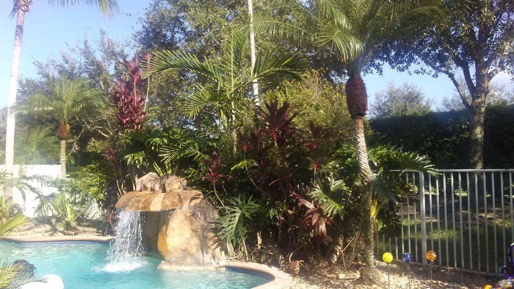 Local yard cleanup service experts serving Davie, FL - Advanced Tree Services & Property Maintenance