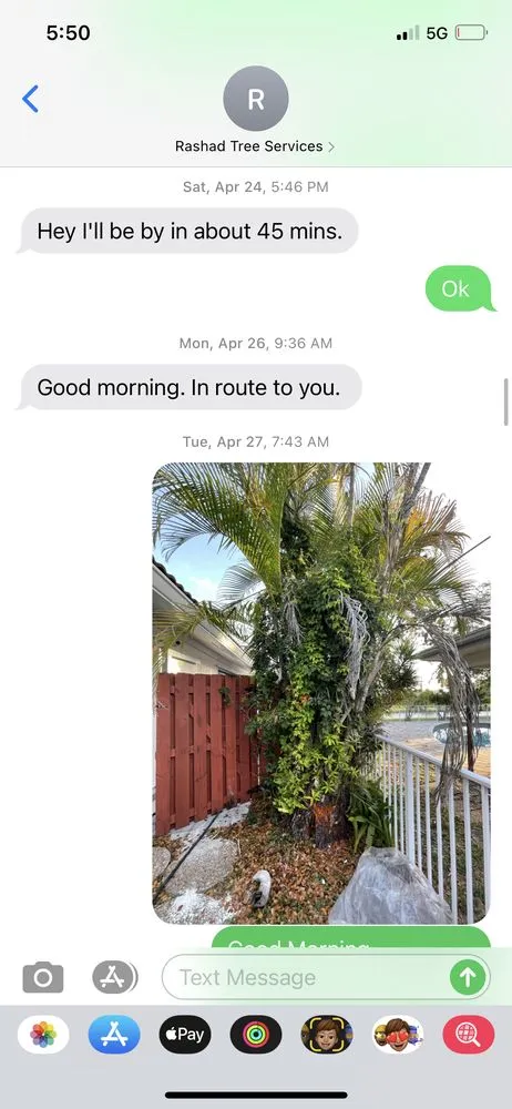 Reliable landscaping services in Davie, FL by Advanced Tree Services & Property Maintenance